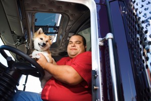 trucking pet